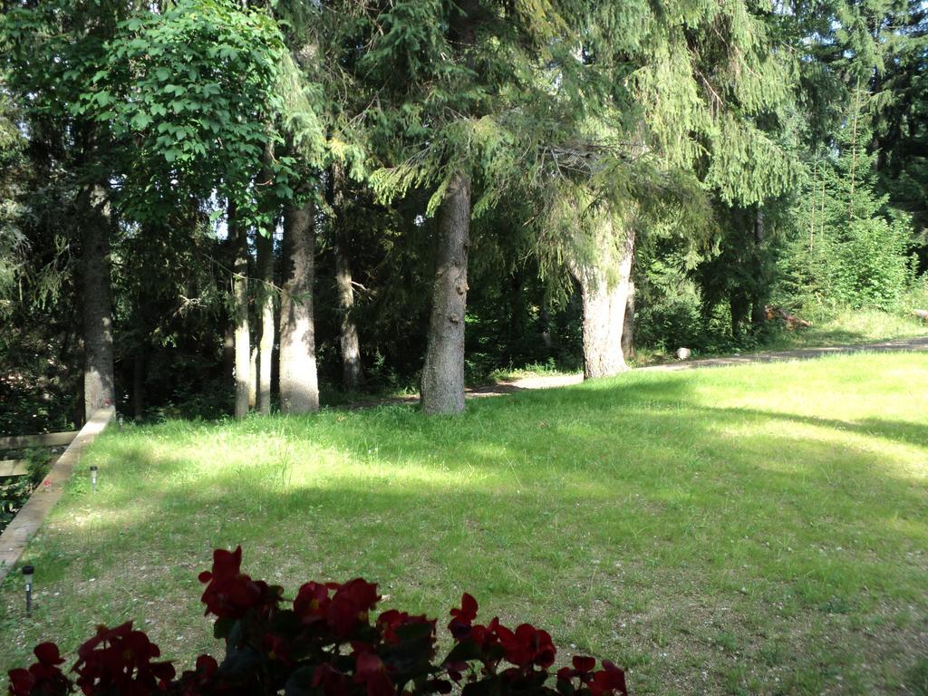 Cabana Suvenirurilor Scarisoara  Extérieur photo